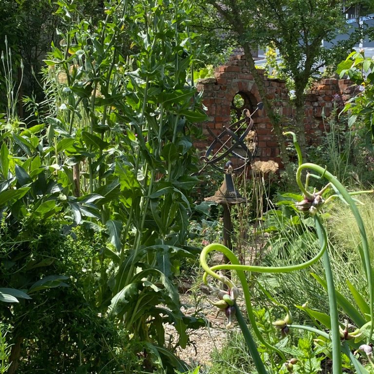 Blick auf einen üppigen Garten mit hohen Pflanzen und einer alten Mauer im Hintergrund.