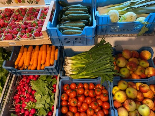 Bunte Auswahl an frischem Gemüse und Obst in blauen Kisten: Tomaten, Äpfel, Karotten, Radieschen.