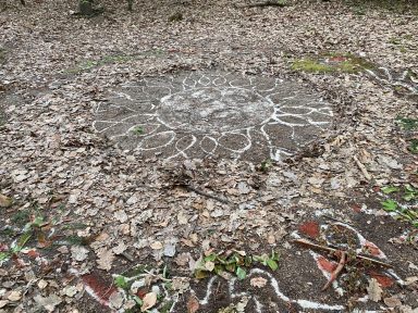 Ein Kreis mit einem gezeichneten Muster auf dem Waldboden.