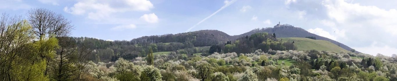 Die Burg Teck im Frühjahr mit den blühenden Streuobstweisen an ihrem Fuß.