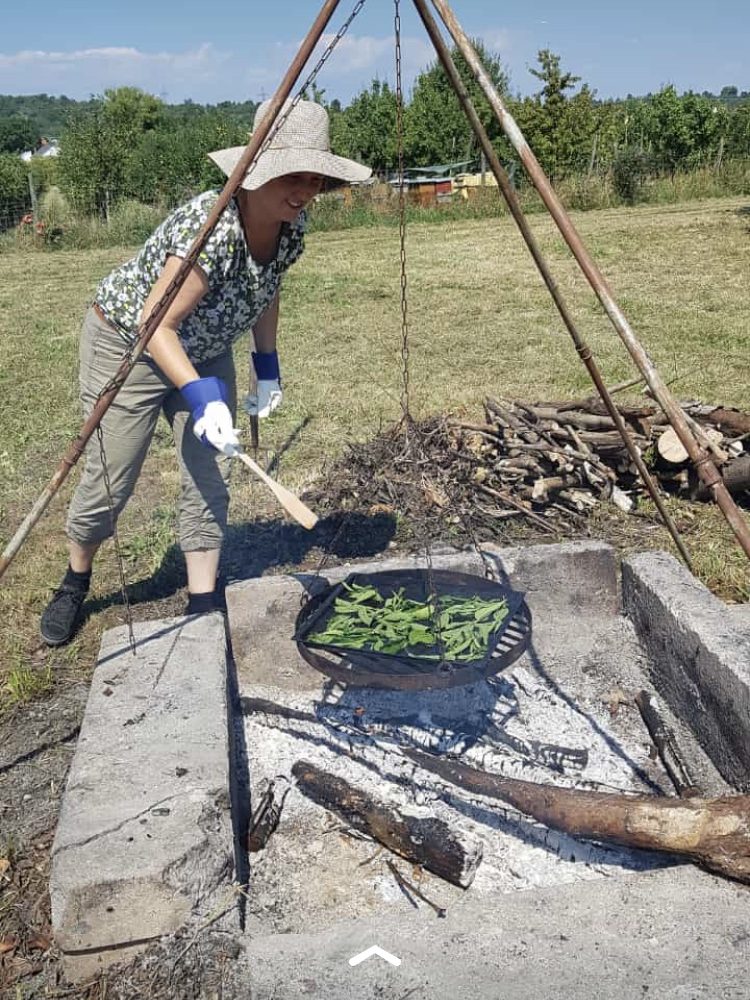 Eine Person kocht über einem offenen Feuer im Freien, umgeben von Natur.