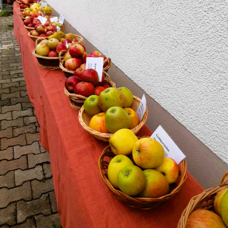 Diverse Obstsorten in Körben auf einem Tisch, darunter Äpfel und Birnen.