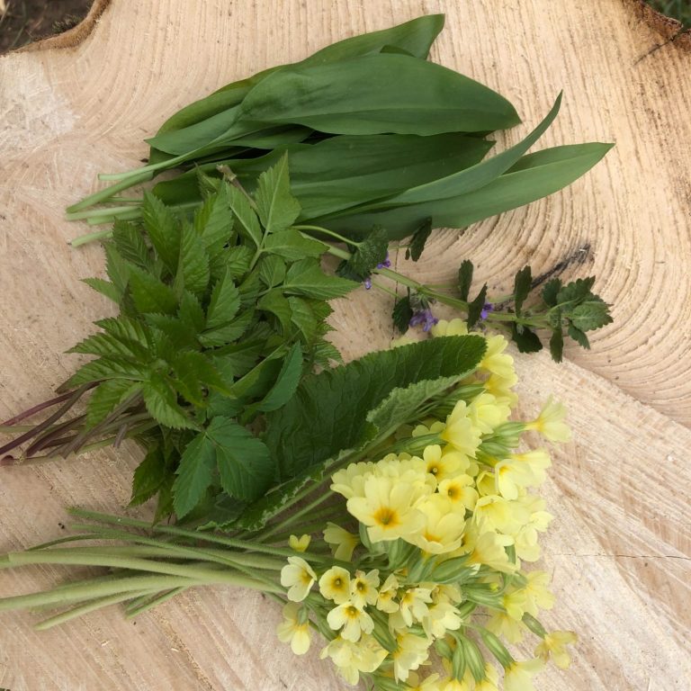 Eine Ansammlung frischer Kräuter und gelber Blumen auf einem Holzuntergrund.