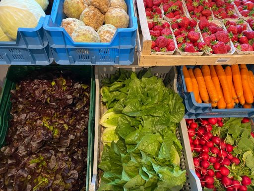 Vielfältige frische Gemüse und Obstsorten, darunter Radieschen, Salat und Erdbeeren.