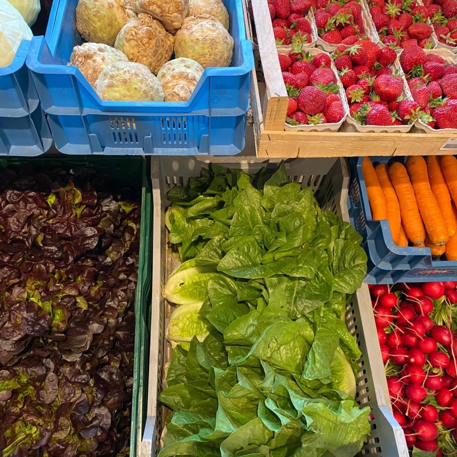 Frisches Obst und Gemüse in Kisten: Salat, Erdbeeren, Karotten und Radieschen.