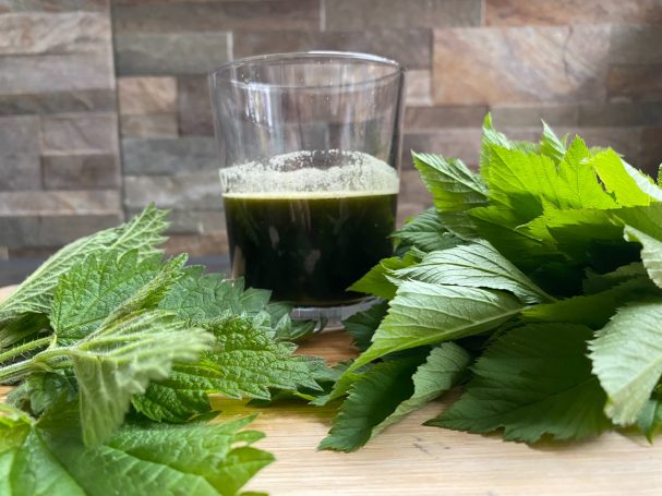 Ein Glas grüner Saft zwischen frischen, grünen Blättern.