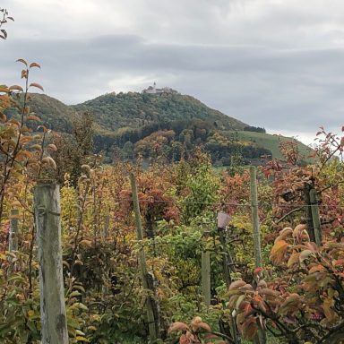 Die Burg Teck mit den herbstlich gefärbten Blättern der Obstanlage an ihrem Fuß